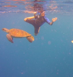 Snorkeling Tour in Volcanic Bay with Possibility of Seeing Turtles