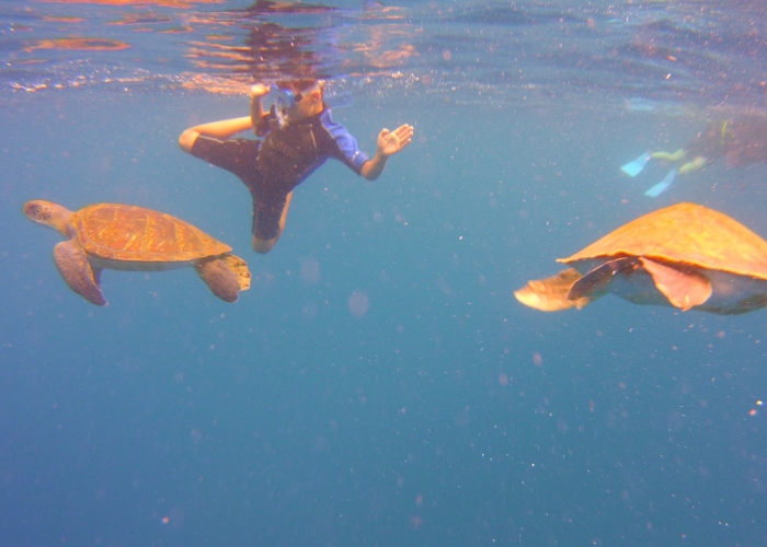 Snorkeling Tour in Volcanic Bay with Possibility of Seeing Turtles