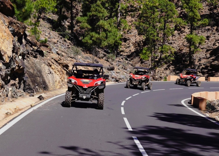 Take a ride in a buggy in this Teide Adventure tour 