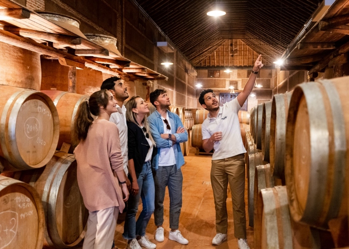 Toledo City Tour & Winery Experience with Wine Tasting from Madrid
