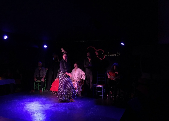 Tour a Pie de Tapas en Madrid y Espectáculo de Flamenco