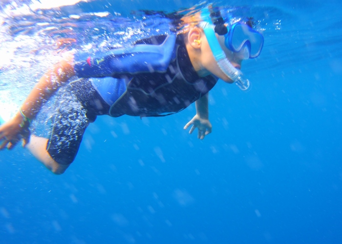 Tour de Snorkeling en Bahía Volcánica con Posibilidad de Ver Tortugas 