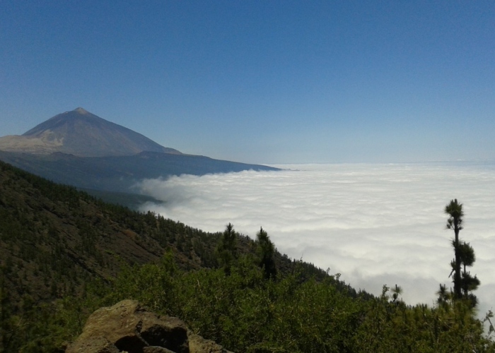Tour guiado y personalizado a la mejor aventura volcánica de Europa: Parque Nacional del Teide