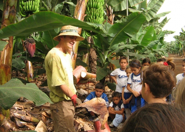 Tour of a Banana plantation with sampling of local delicacies