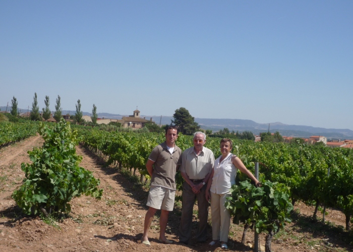 Vineyard Stroll and Wine Tasting Experience in Tarragona