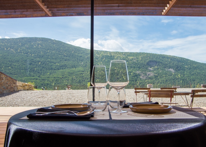 Visit and Wine and Food Pairing Tasting in a Dream Setting