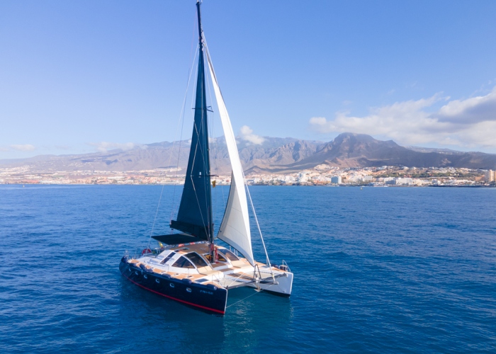 Whale Watching in an Exclusive Glass Bottom Catamaran 