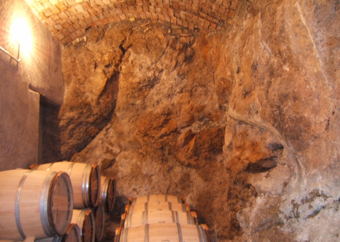 Wine Cellar Guided Tour