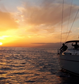 Your own customized experience on a sailboat